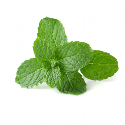 Organic Mint 200g