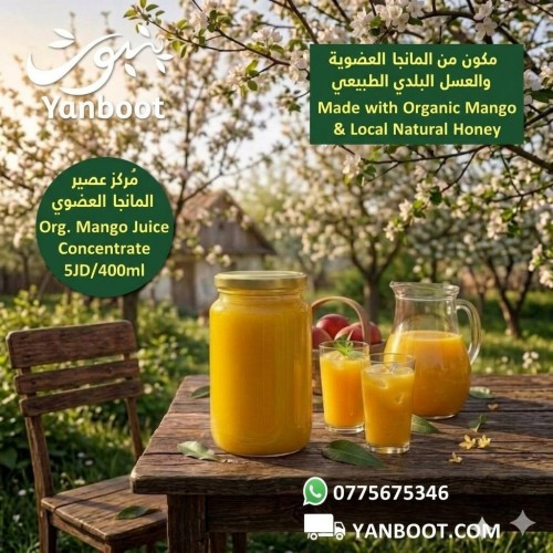 Yanboot's Organic Mango Juice Concentrate 400ml 