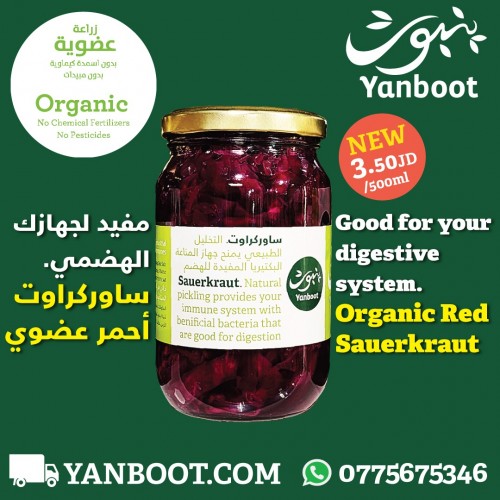Yanboot Organic Red Sauerkraut 300ml 