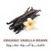 HOLISTIC CORNER  Organic Vanilla Beans 12g 
