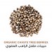 HOLISTIC CORNER Organic Chaste Tree Berries 50g