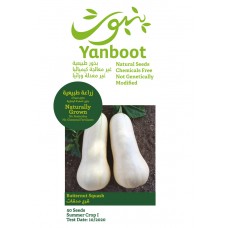 Butternut Squash Seeds