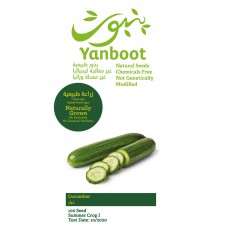 Cucumber Seeds