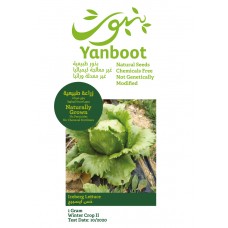Iceberg Lettuce Seeds