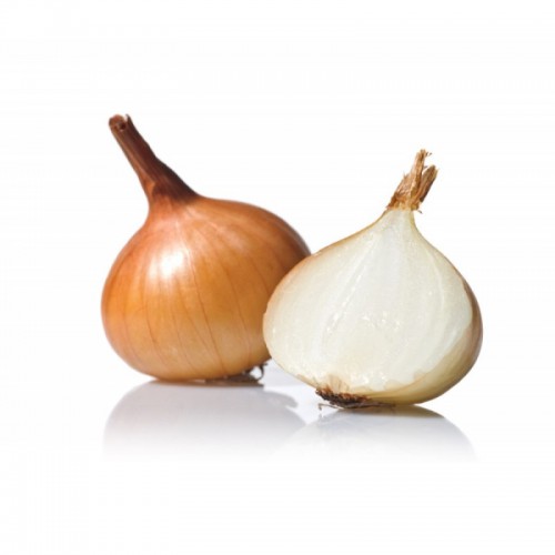 Organic Yellow Onion/kg