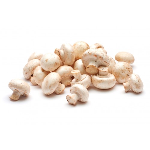 Organic Middel Mushrooms/Pack