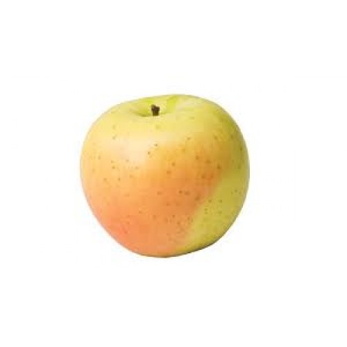Organic Anna Apple/500g
