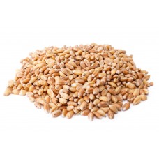Whole Wheat