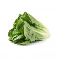 Organic Romaine Lettuce/200 g