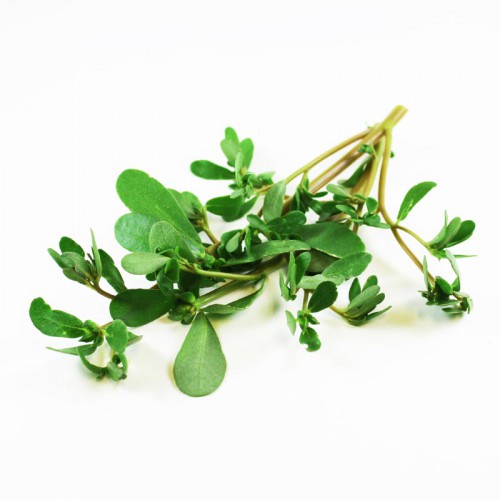 Organic Purslane 200g