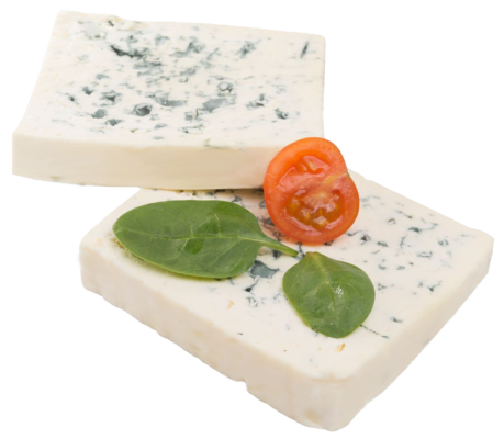 Vegan-blue-SS-459x400.png