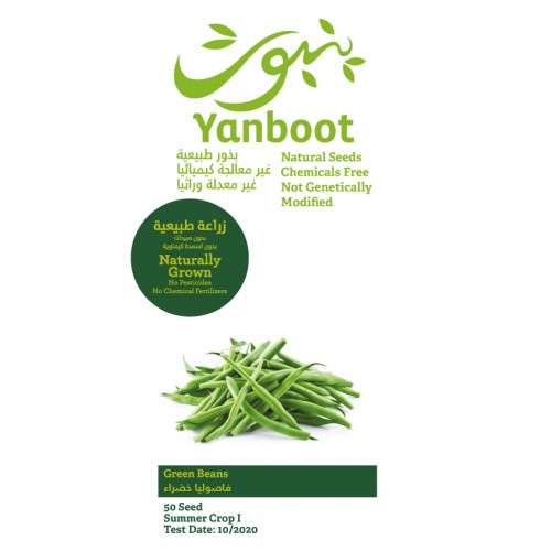 Green Beans Seeds