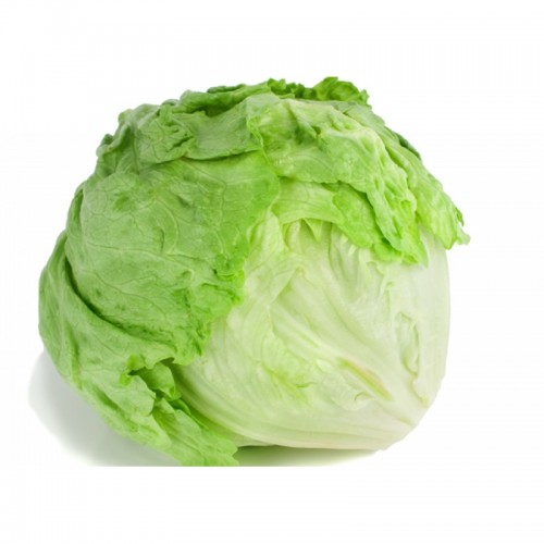 Organic Iceberg Lettuce