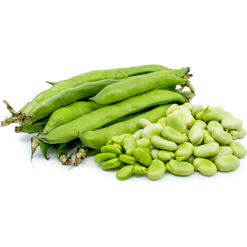 فول أخضر بلدي عضوي 200غ