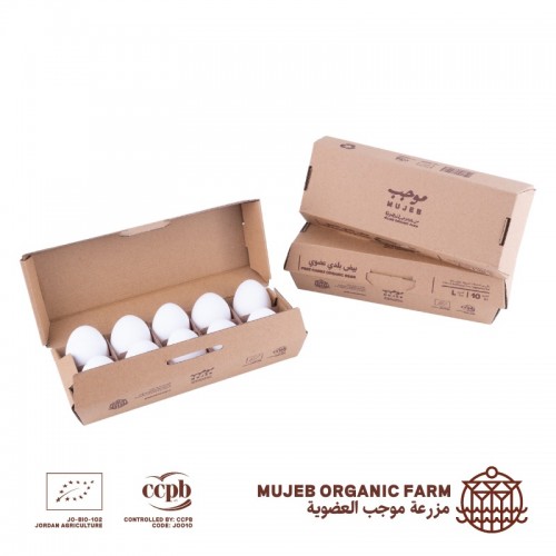 Organic Mujeb Eggs (10 pieces)