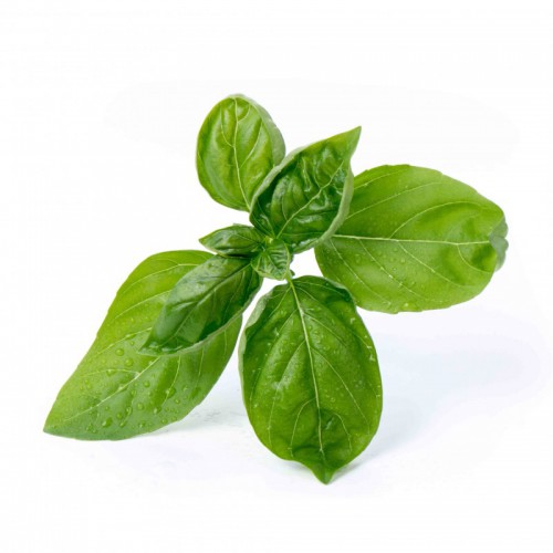ريحان أخضر عضوي 200غ