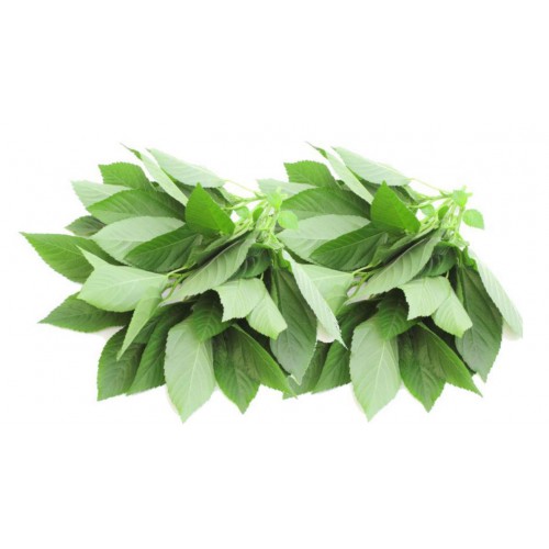 500g ملوخيه عضوية