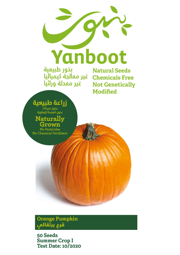 Orange Pumpkin Seeds