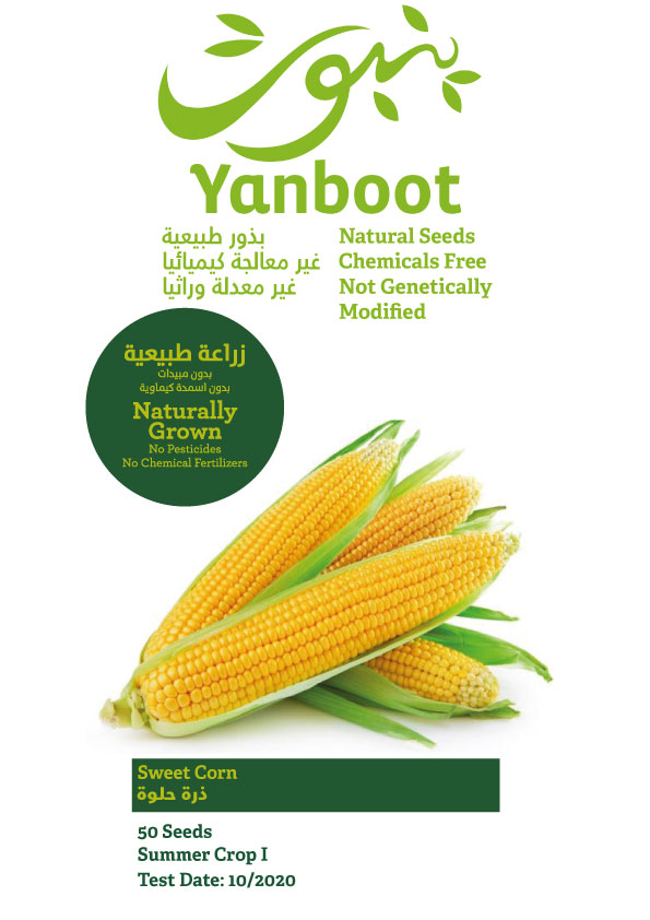 Sweet Corn Seeds