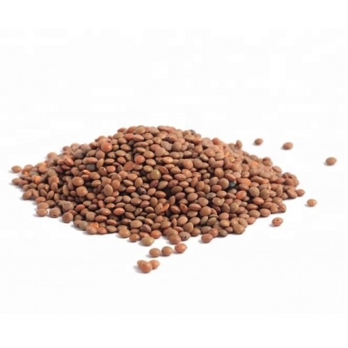 Organic Brown Lentils 500g