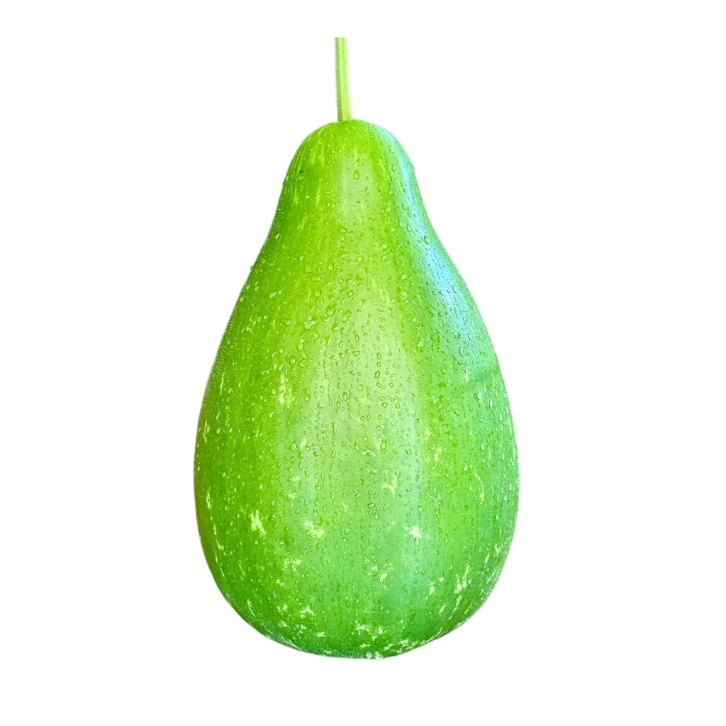Organic Gourd/kg