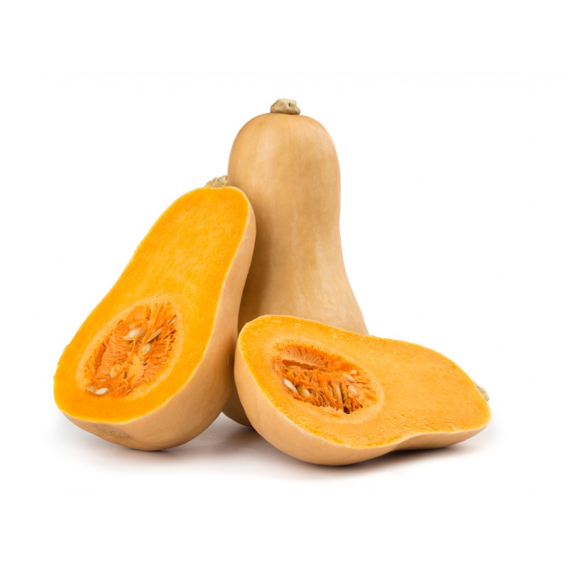 butternut squash قرع المدقات
