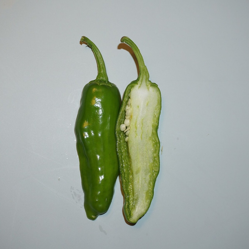 Chilli Pepper فلفل حار