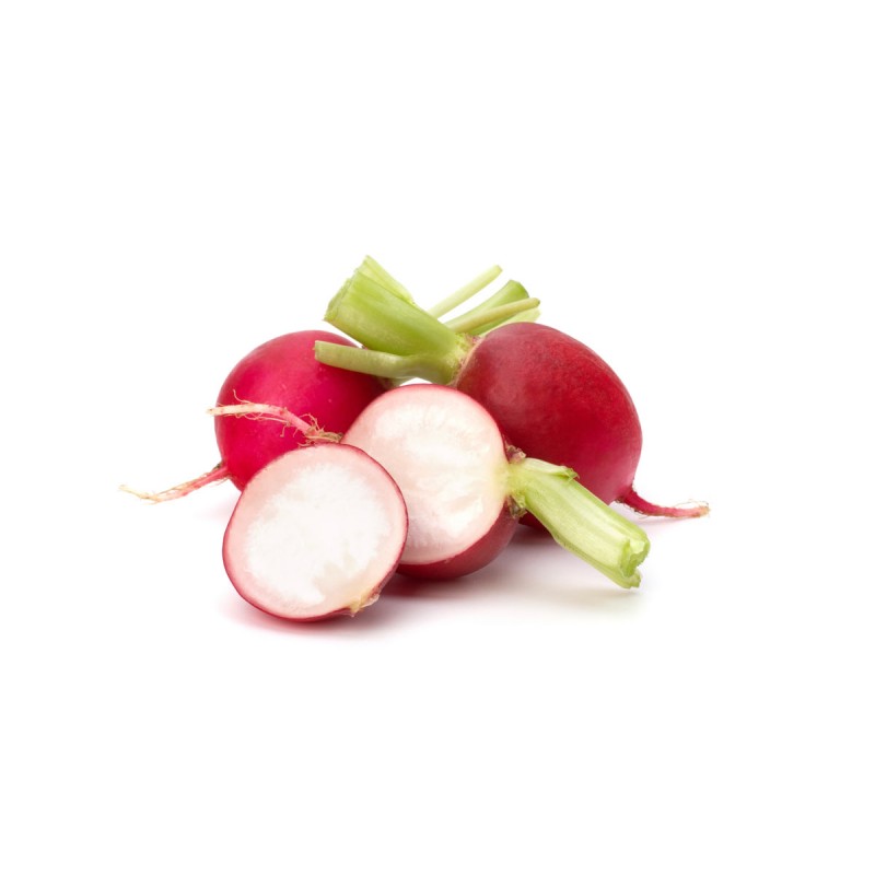Red Radish فجل أحمر