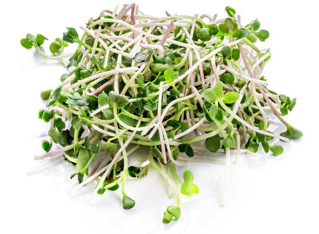 Broccoli Sprouts