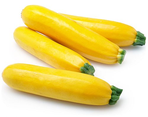 Organic Yellow Zucchini