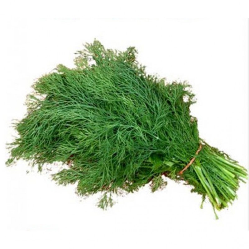 Organic Dill